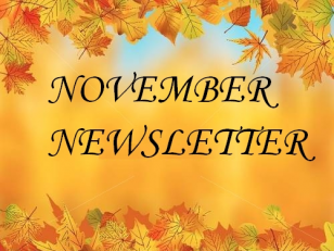 November News Sheet 2024.pdf